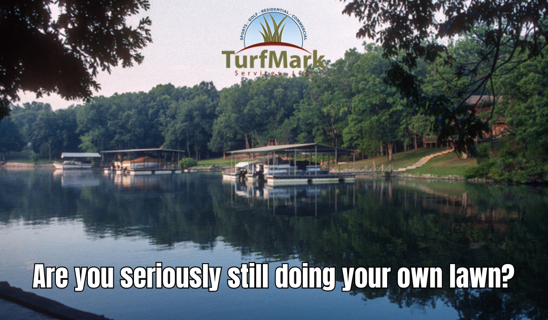 The True Cost of Managing Your Own Lawn at Lake of the Ozarks: Why You Should Leave It to the Experts